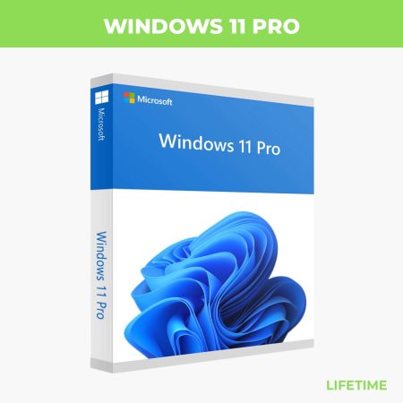 Windows 11 Professional